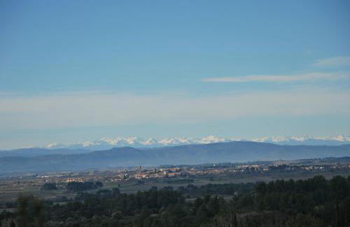 La petite Cigale - Foto 33