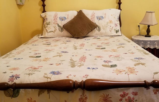 The Cabins at Healing Springs - Foto 40