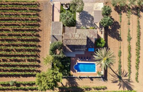 Vinyes Can Grau - Foto 16