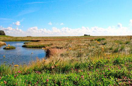 Gästehaus Neuwarft - Foto 39