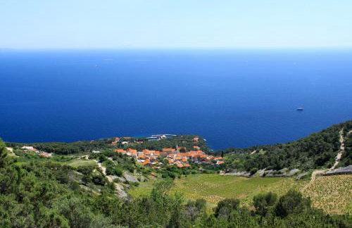 Apartments with parking space Sveta Nedilja, Hvar - 8792 - Foto 29