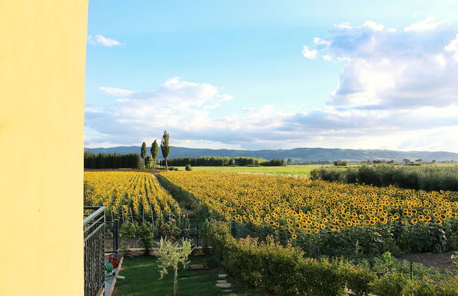 Il Podere di Francesco - Foto 73