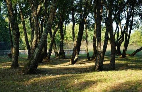 Stylish villa with swimming pool and garden - Foto 30