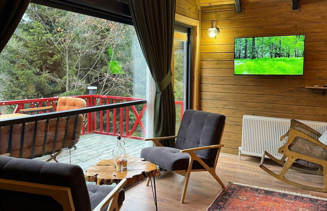 Ayder Guven Dag Evi - Photo 22