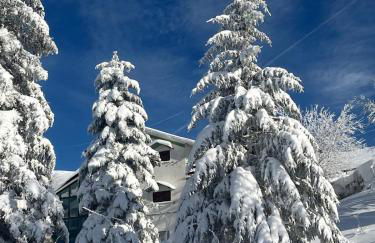 A casa di Olly - Foto 23