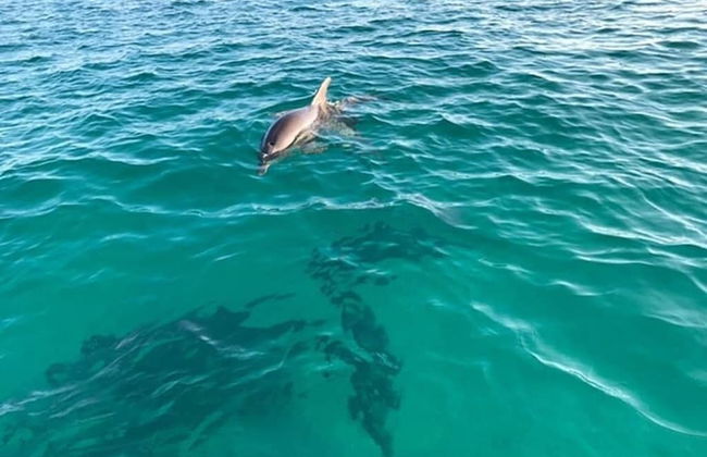 Sunny Daze Cottage 3 Bedroom Home - Foto 26