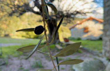 Authentique Casellu en pierre à Porticcio avec vue sur la mer - Foto 3
