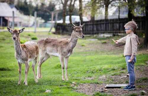 Domki Całoroczne Danielowa Ostoja-Zator,Palczowice - Foto 31