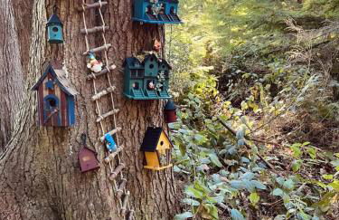 Perch - Ellie's Secret Cabin - Foto 39