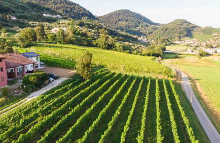 Agriturismo Mazzeracca - Foto 19