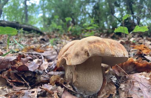 Los Chozos de la Braña - Foto 44