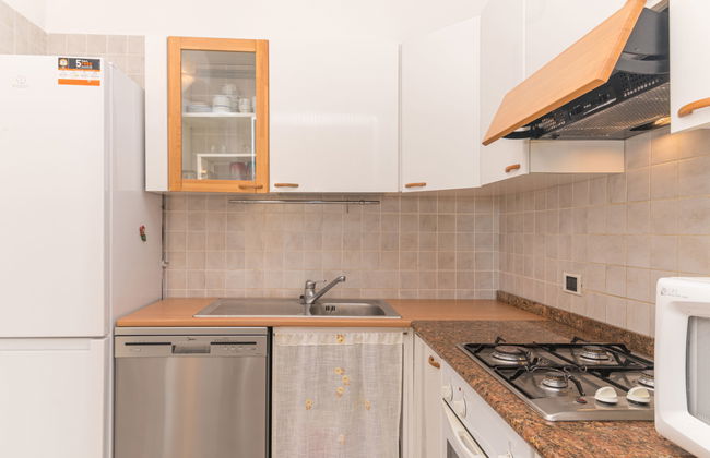 Agrifoglio - Foto 10