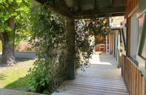 Maison de vacances à Petit Piquey, entre Bassin et Océan - Foto 8