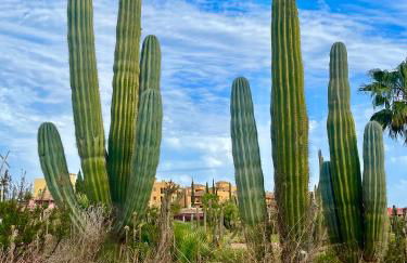 "Indaloo" apartment for couples, Para parejas solamente, EXCEPTIONAL! Vera Playa, Vera Costa, 200 m from the Las Marinas beach - Foto 36