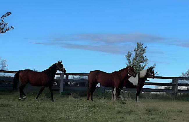 Doran Farm & Wedding Venue - Foto 75