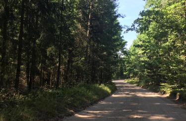 Dom w Puszczy - Foto 15