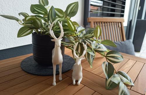 Exklusive Ferienwohnung 2 im Herzen des Spessarts - Foto 18