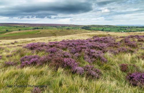 Spacious Cottage with Private Hot Tub - Foto 44