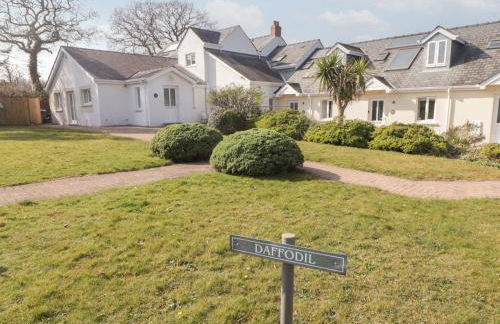 Daffodil Apartment - Photo 1