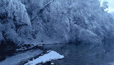 Apartman PLUM PLITVICE - Foto 5