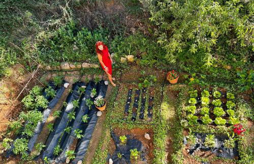 Apartamentos la Jayma del Arte - Foto 23