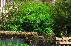 Appartamenti al Rizzo dei Santi - Foto 21