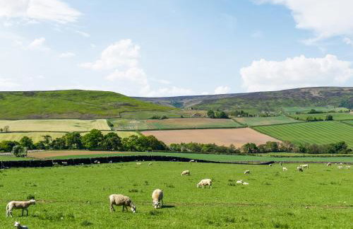 Barn Owl Hut - Uk49769 - Photo 10