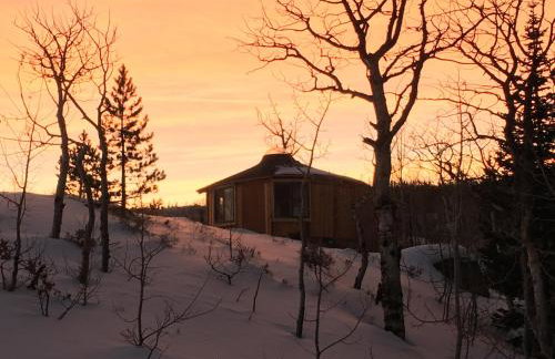 Red-tail Roundhouse at 22 West Cabins and Recreation - Foto 64