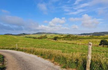 Camino a las Sopeñas - Foto 40