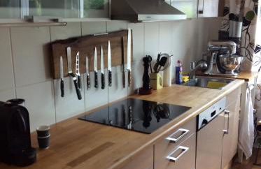 Tor zum Pfälzerwald - Foto 9