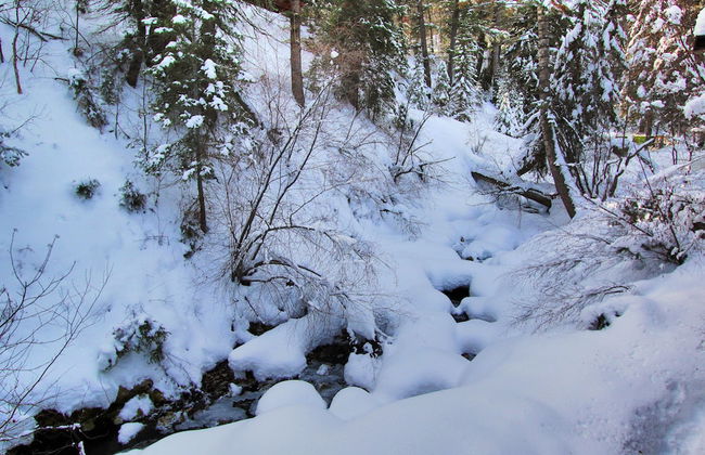 Cottage on the Stream - Photo 18