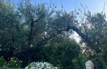 Casa Vacanze Podere Radici - Foto 9