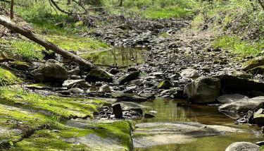 Retreat on Lake Milton - Foto 2