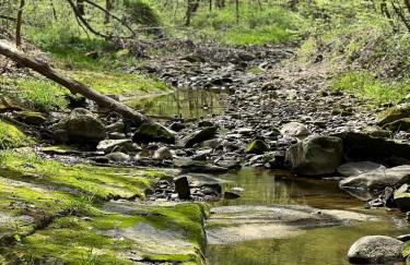 Retreat on Lake Milton - Foto 2