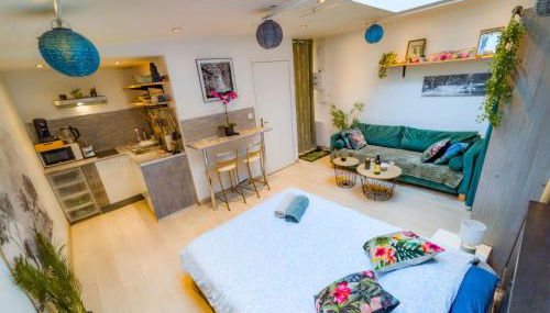 Jungle Studio - 2P à 4P -Henriville - Foto 2