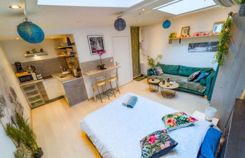 Jungle Studio - 2P à 4P -Henriville - Foto 2