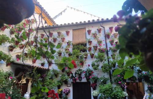 El Capricho de San Fernando, Consigna gratis y Parking a 200mts - Foto 71