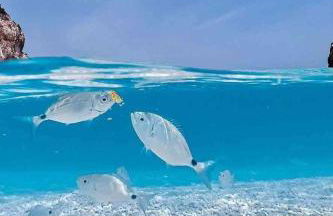 Apartment Zeit für Jazz 2BR Apt Nr S-Teodoro by Interhome - Foto 9