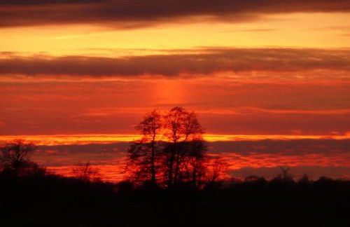 Holiday Apartment Zur Heide - Foto 52