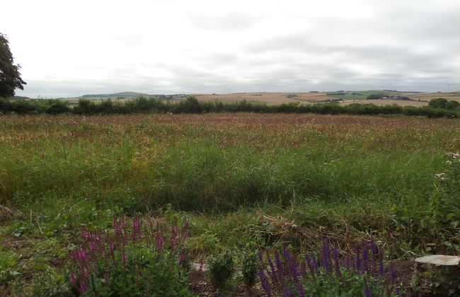 Charming 1-bed Garden Lodge in Boyndie, Banff - Foto 18
