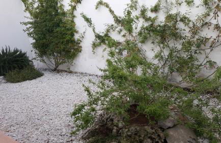 Casa Le Site con giardino - Foto 21