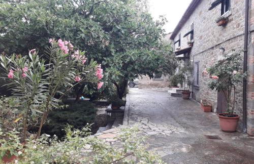 Il Fico di Cortona - Foto 7