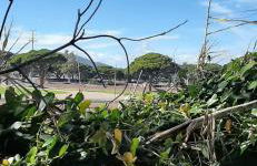 les îles d'or au port de Hyères grand studio climatisé - Foto 38