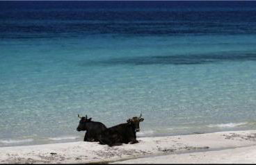 Résidence EMILIA - Foto 47