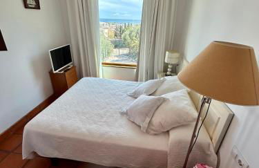 La Washingtonia - Foto 68