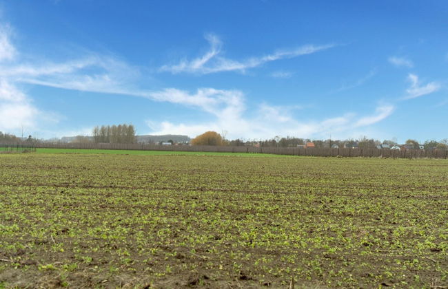 Zoutleeuw Home With Pool - Foto 41