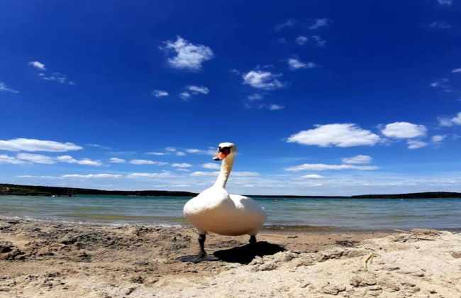 Peaceful Retreat by the Lake - Foto 32