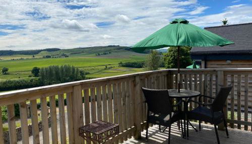 Badger Lodge with Hot Tub - Foto 2