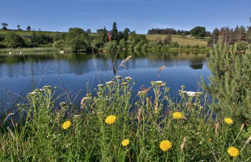 Les Chalets du Mazet Saint Voy - Foto 31