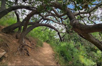 Studio City Chic Large Contemporary Condo - Foto 27